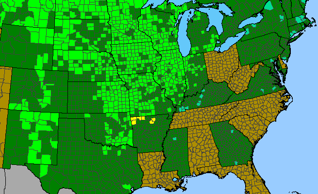 The range of Helianthus pauciflorus